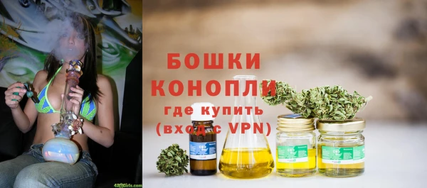 мет Карпинск