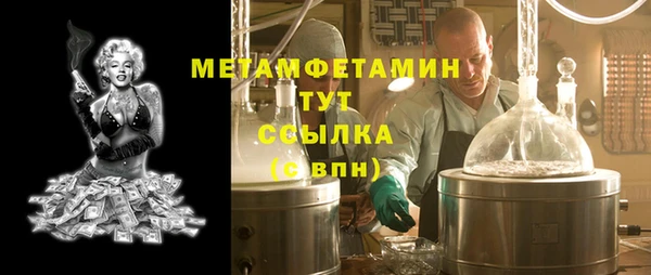 прущие грибы Нея