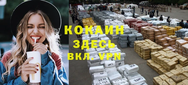 прущие грибы Нея