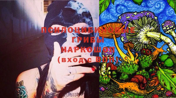 прущие грибы Нея