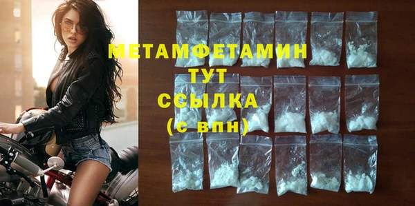 прущие грибы Нея