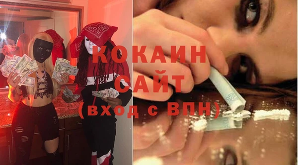 прущие грибы Нея