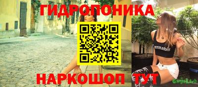 соль ск Аргун