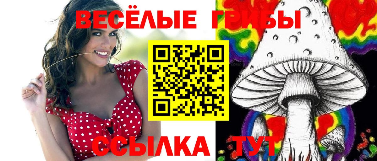 Белореченск  наркота  Вход с VPN  Галлюциногенные грибы прущие грибы 
